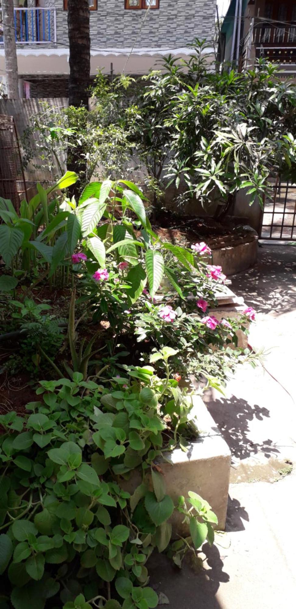 Spice Cottage Homestay Thekkady Exterior photo