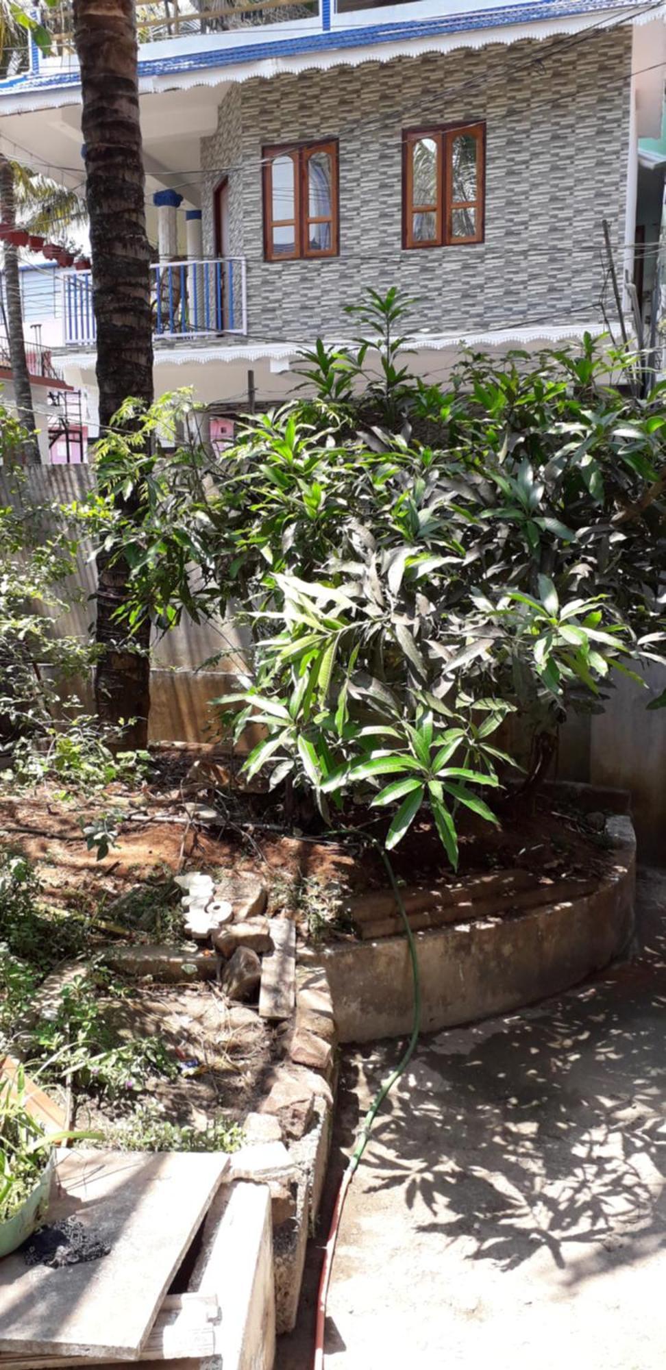 Spice Cottage Homestay Thekkady Exterior photo